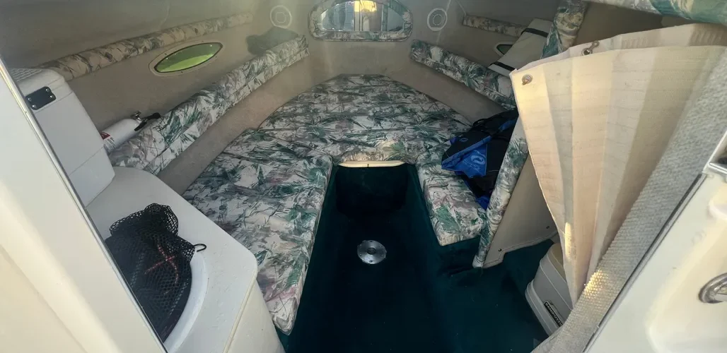 1998-sea-ray-210-cuddy-cabin-power-9388712-20240513140509560-